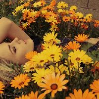 诗意优美的女生网名 好听又诗意的女生名字(精选30个)