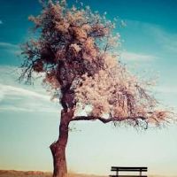 好听有意境不俗气的网名(精选85个)