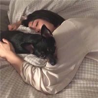 有气质的女神范网名(精选53个)