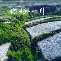 12月再见一月你好的心情说说(精选36句)