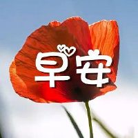 早安一句话心情说说 早安极简的句子(精选146句)