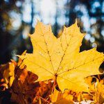 非主流简单干净的个性网名(精选103个)