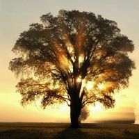 文艺范美感有诗意的网名大全(精选94个)