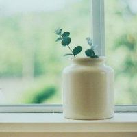 最近适合发朋友圈的疫情句子(精选55句)