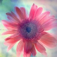 疫情期间关心家人的温馨话语(疫情期间祝福家人的话)