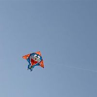 描写春天小朋友放风筝的句子(描写小孩放风筝的句子)