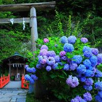 2022年疫情高考祝福语和鼓励的话(精选51句)