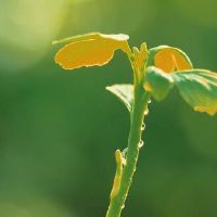 内涵幽默搞笑短句子能笑死人的说说