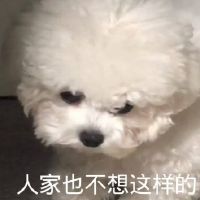 能笑死人的搞笑短句子,句句幽默雷人