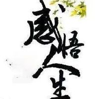 自己选择的路,跪着也要走完