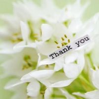 好听的句子诗意短句