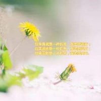 一句话说透人生,一句话说透人生短句图片