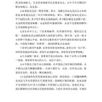 好句好段摘抄大全初中,中考好词好句好段摘抄大全初中