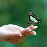 哲理文案 | 哲理句子唯美简短