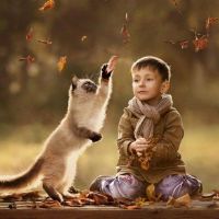 最新的早上好问候语温馨句子