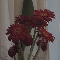 温柔干净无关爱情的句子啊