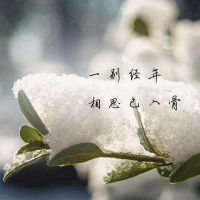 心里放不下一个人怎么办,怎么办