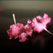 非常走心的伤感句子，句句走心