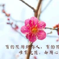 适合心累发的朋友圈,适合心累发的朋友圈简短