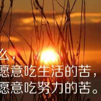 人生感悟的经典短句,精辟人生感悟经典短句