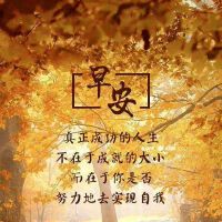 夏天激励人心的句子,夏天励志语录经典短句