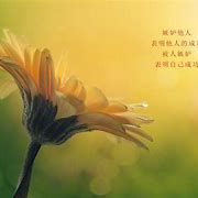 人生感悟句子图片带字,人生感悟的句子带图片