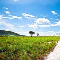 简单生活心态的句子,简单生活短句唯美的句子