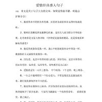 感人的爱情短句子大全,感人的爱情句子 感人肺腑的句子