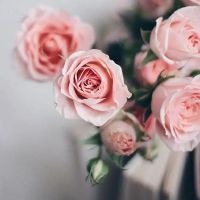 五首失恋诗词：当爱已成往事，往事能否成烟？