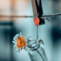 失望的说说发朋友圈图片,适合发朋友圈伤心失望的图片