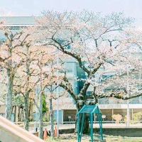 开心的说说简单气质一句话,很开心的句子说说心情一句话