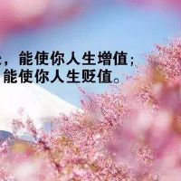 开心的说说唯美短句,开心的句子说说心情长句