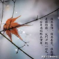 心痛的说说句子痛到窒息的说说的简单介绍