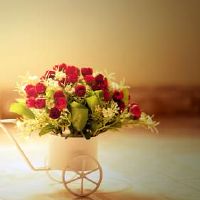 善待自己学会快乐的句子说说心情