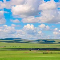 百句爱国诗词:心存家国,立身立德