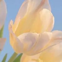 让自己变得开心的句子简短精辟 很有趣的开心短句