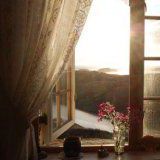 樱花开了优美句子，赞美樱花的短句