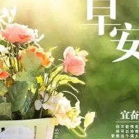 禅语感悟人生的句子，大彻大悟的10精美句子