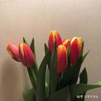 人生感悟的句子案牍(人生感悟的句子案牍图片)