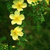 句句入骨的人生感悟(人生感悟典范句子,句句精辟入骨)