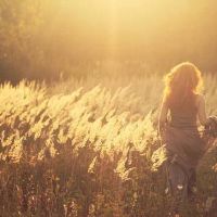 做个风流人的唯美句子(做个风流人的唯美句子简短)