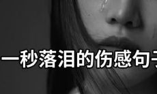 最心酸委屈决定放弃一个人伤感的句子