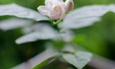 爱情对话句子伤感