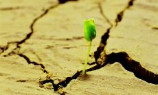 关于不屈不挠的励志句子