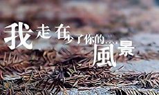关于距离的伤感说说