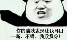 骂人脑残的句子