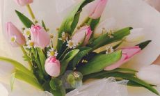 三八妇女节最美问候祝福短信