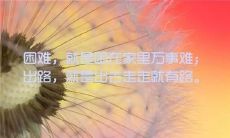 简短走心的句子励志