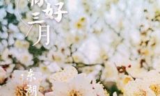 三月的第一天说说短句