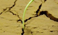 关于成长的励志句子